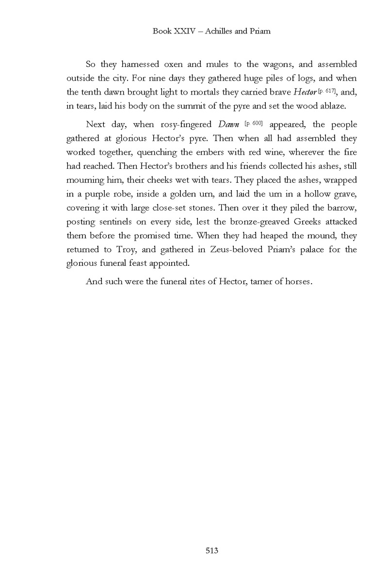 The Iliad - Page 507